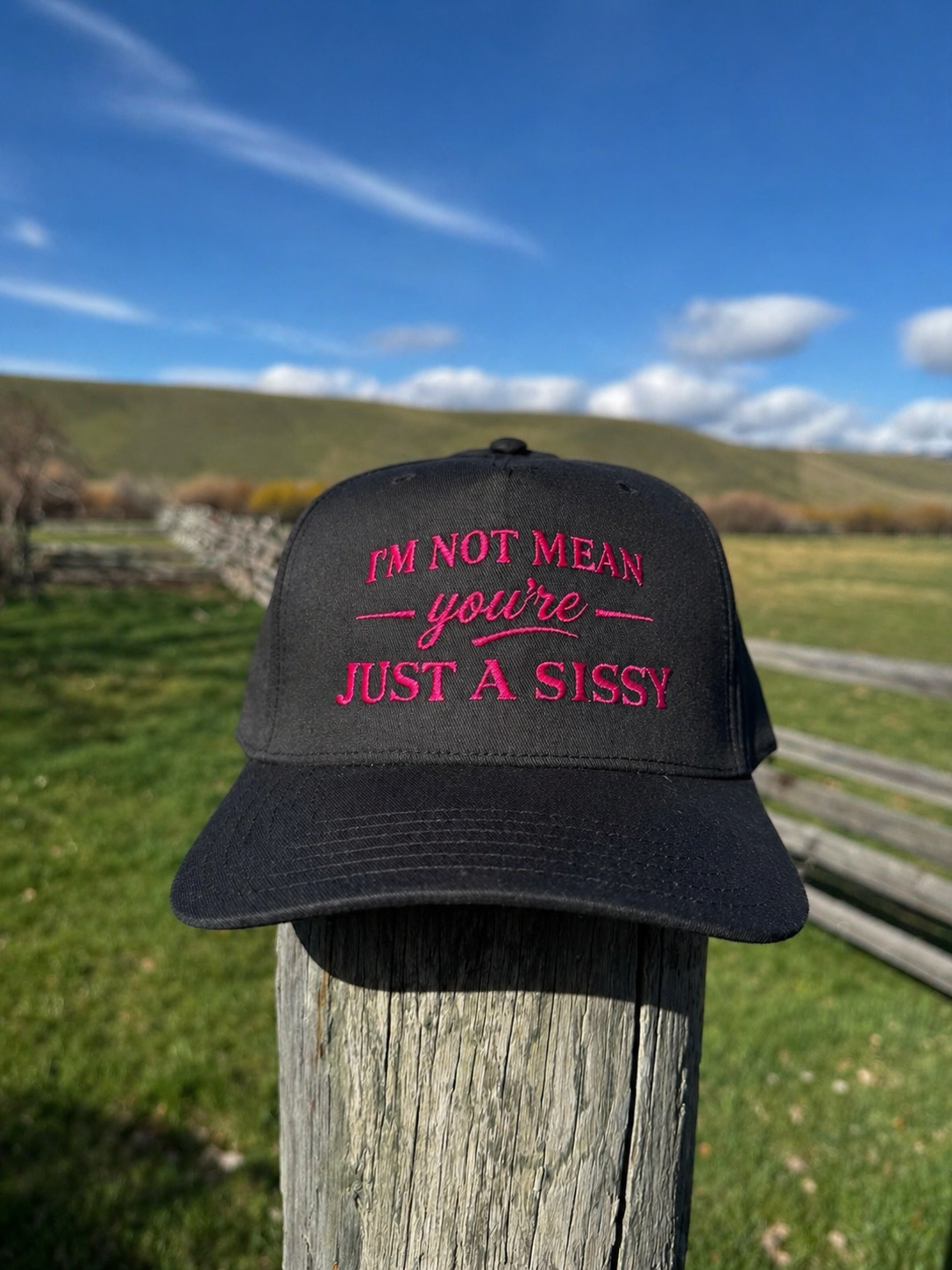 I’m Not Mean - Pink