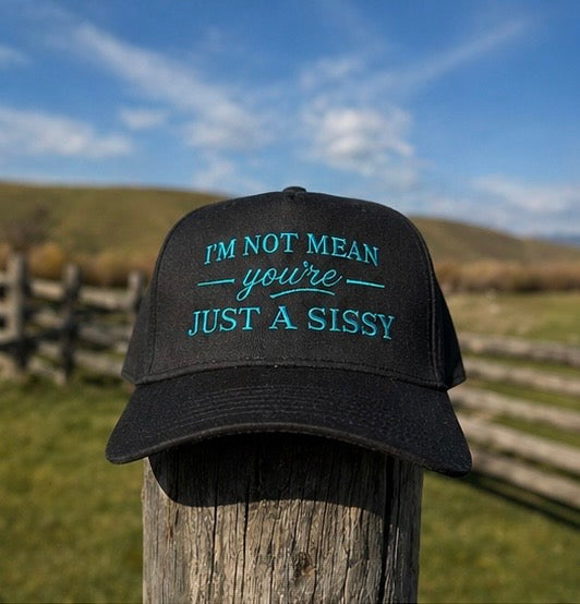 I’m Not Mean - Teal